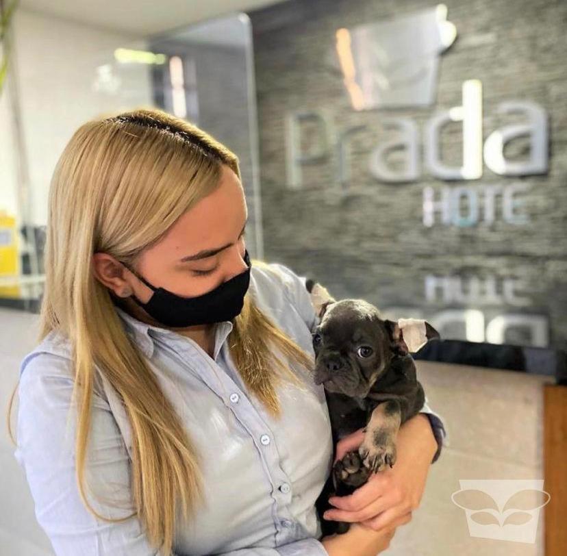 Hotel Prada 3*